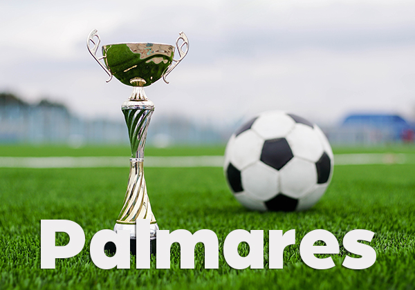 Palmares del campionato